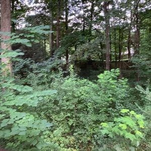 Meet your Posher, Dulce